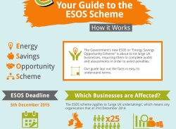 ESOS Scheme Infographic